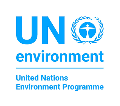 The United Nations Environment Programme is looking for a Seaweed Farming Expert