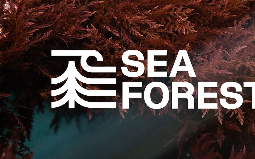 Our members from Sea Forest are looking for an experienced COO to join their fast growing team