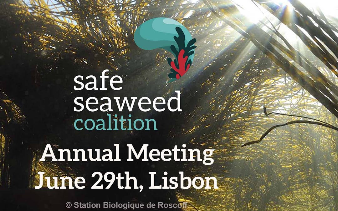 Safe Seaweed Coalition Annual Meeting & Seaweed Day, June 29th in Lisbon