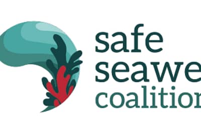 Safe Seaweed Coalition: 2021 Lookback & 2022 Look Forward